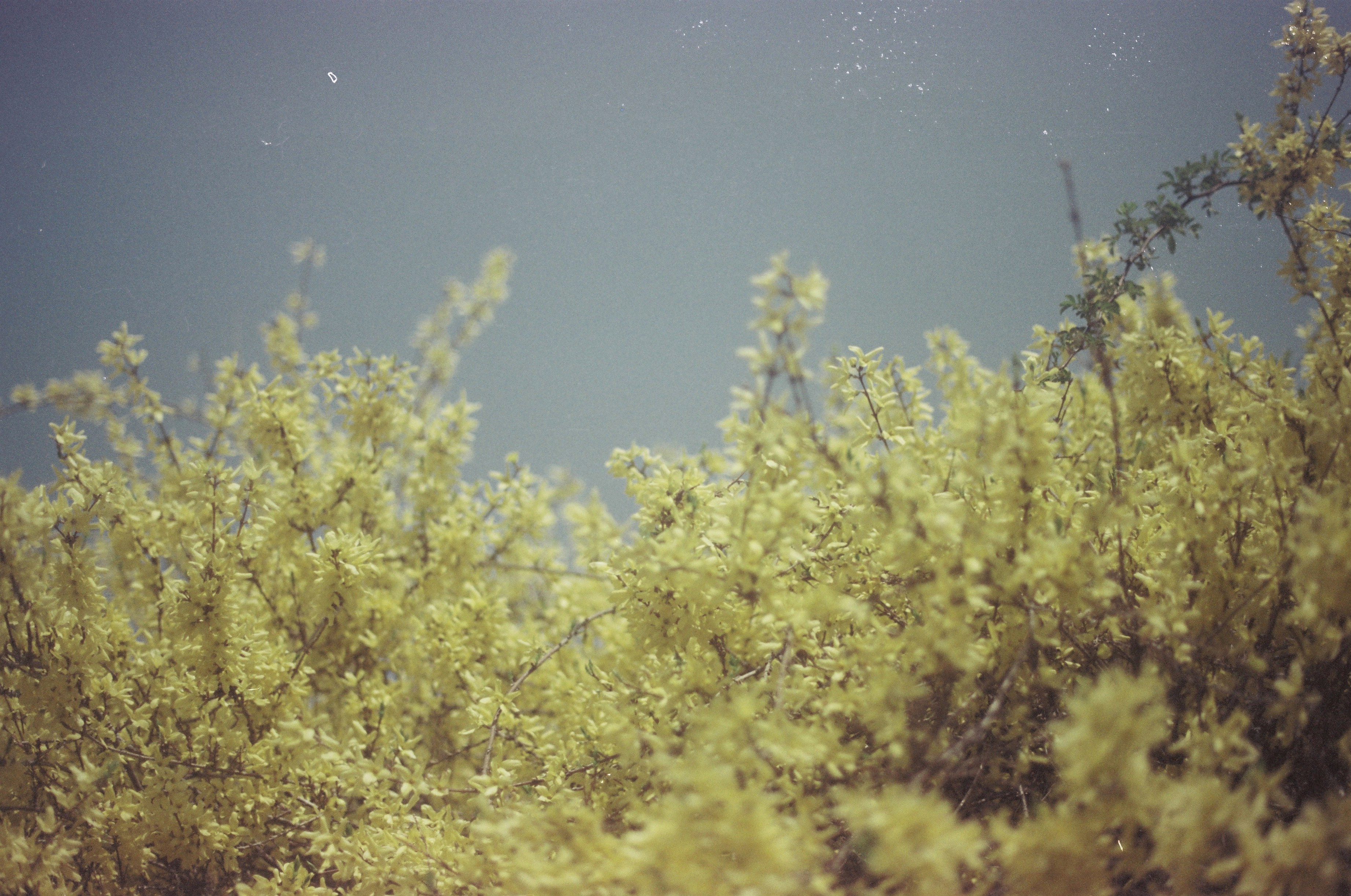 Film series image 02