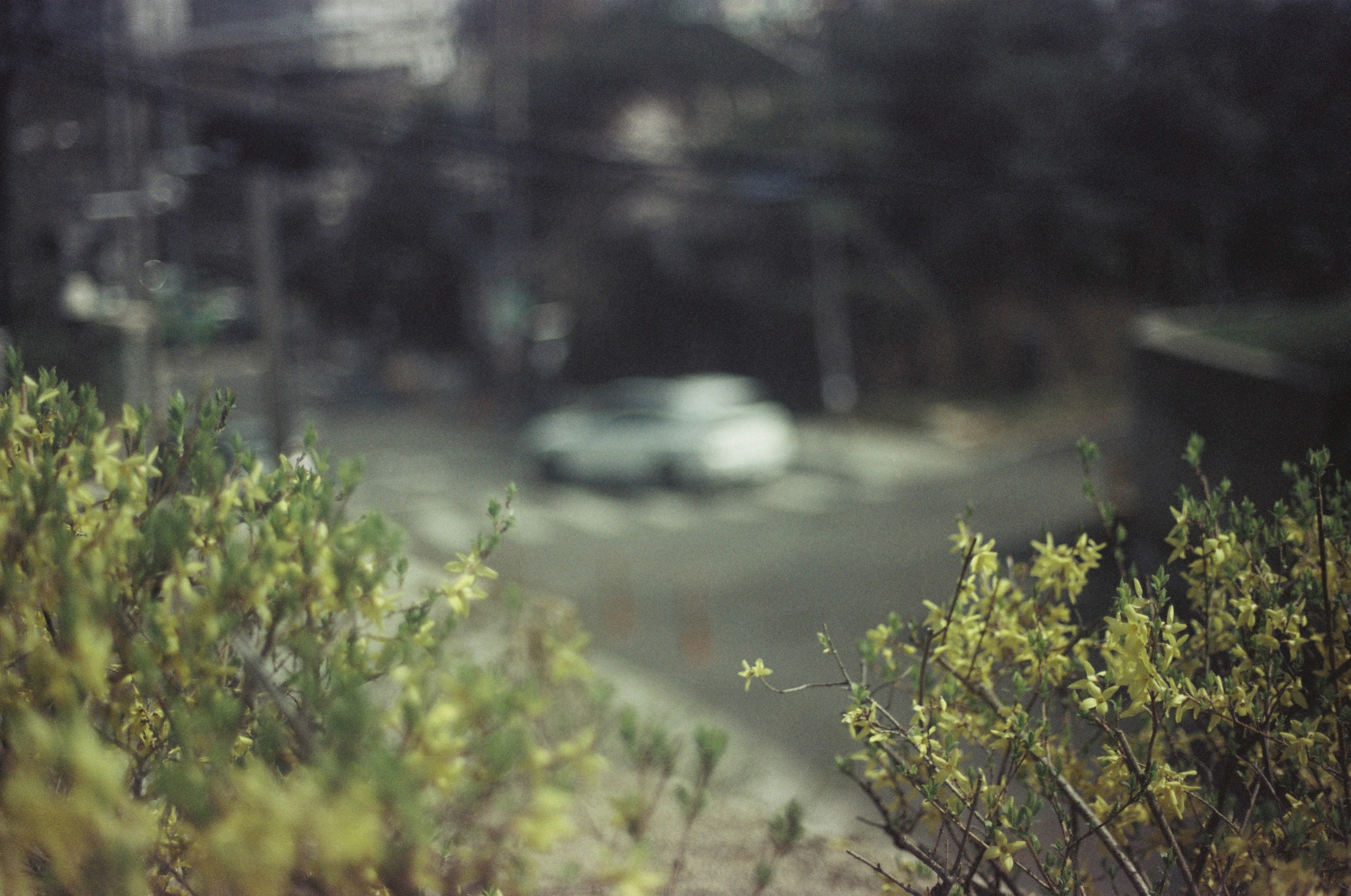 Film series image 03